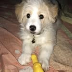 Sharon Benavides - @sharon6438557 - Instagram