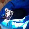 Sharon Benefield - @sharon.benefield - TikTok
