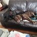 Sharon Benoit - Facebook
