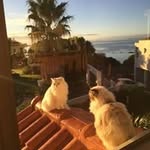 Sharon Benton - @sharonbenton2017 - Instagram
