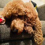 Sharon Benton - @rightsedted - Instagram