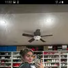 bernersharon - @bernersharon - TikTok