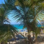 Sharon Bertrand - @sbertrand849 - Instagram