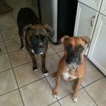 Sharon Beyer - @mummabear1955 - Instagram