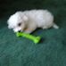 Sharon Beyer - Facebook
