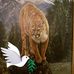 Sharon Biddle - Facebook