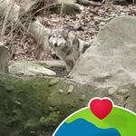 Sharon Biddle - @sbiddle236 - Instagram