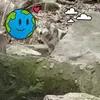 Sharon Biddle - @sharon.biddle2 - TikTok