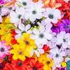 Sharon Biddle - @sharon.biddle6 - TikTok