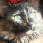 Sharon Bigham - @bigham669 - Instagram