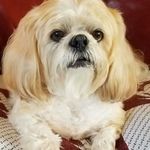 Sharon Binkley - @sharon.binkley.9 - Instagram