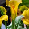 Sharon Binkley Denney - @sharon.binkley.de - TikTok