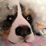 Sharon Schleiden Bitzer - Facebook