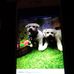 Sharon Blackledge - Facebook