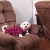 Sharon Blades - Facebook