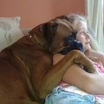 sharon blades - @sharonrose_blades - Instagram