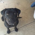 sharon blagg - @blaggsharon - Instagram