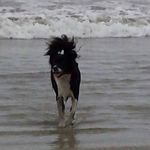 Sharon L Blakeman - @norahsennyl - Instagram