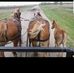 Sharon Blanchette - Facebook