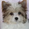 sharonblanchetteb - @sharonblanchetteb - TikTok