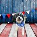 Sharon Blevins - Facebook