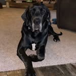 Sharon Blevins - @sharonblevins232 - Instagram