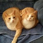 Sharon Blevins - @blevins_sharon - Instagram