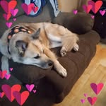 Sharon Blowers - @blowerssharon - Instagram