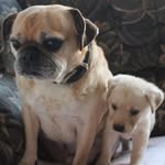 Sharon Blowers - @blowers.sharon - Instagram