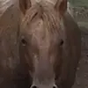 Sharon Blunt - @sharon.blunt - TikTok