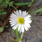 Sharon Boden - @sharon.boden.391 - Instagram