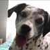 Sharon Bodner - Facebook