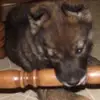 Sharon Bogart - @sharon.bogart - TikTok