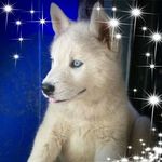 Sharon Bogle - @winshaz2227 - Instagram