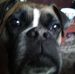 Sharon Boldy - Facebook