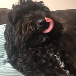 Sharon - @sharonbold_ - Instagram