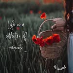 Sharon Gerstner-Bolduc - @sbolduc05 - Instagram