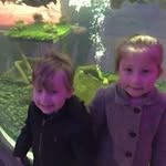 Sharon Bolingbroke - @sharonbolingbroke - Instagram