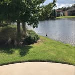 Sharonrose Bollers - @sharonrosebollers - Instagram