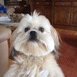 Sharon Bolton - @sharon_bolton - Instagram
