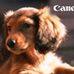 Sharon Borchert - Facebook