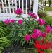 Sharon Borders - Facebook