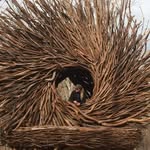 Sharon Hayes Borderick - @sharonborderick - Instagram