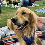 Sharon Faltin Borton - @sharoneborton - Instagram