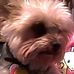 Sharon Freeman Bottorff - Facebook