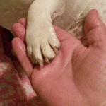 Sharon Botts - @sharon.bo21 - Instagram