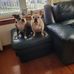 Sharon Botts - Facebook