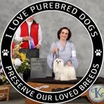 Sharon Bourbeau - Facebook