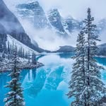 Sharon B - @sharon.bourque13 - Instagram