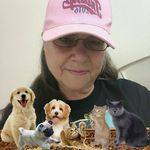 sharon marie hanly boutin - @sharonmariehanlyboutin - Instagram